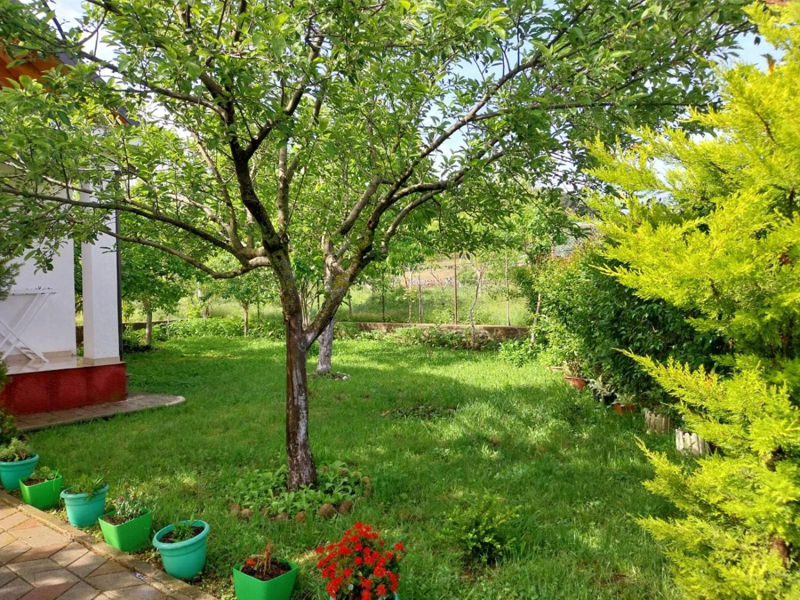 Riza Guest House Puke Экстерьер фото